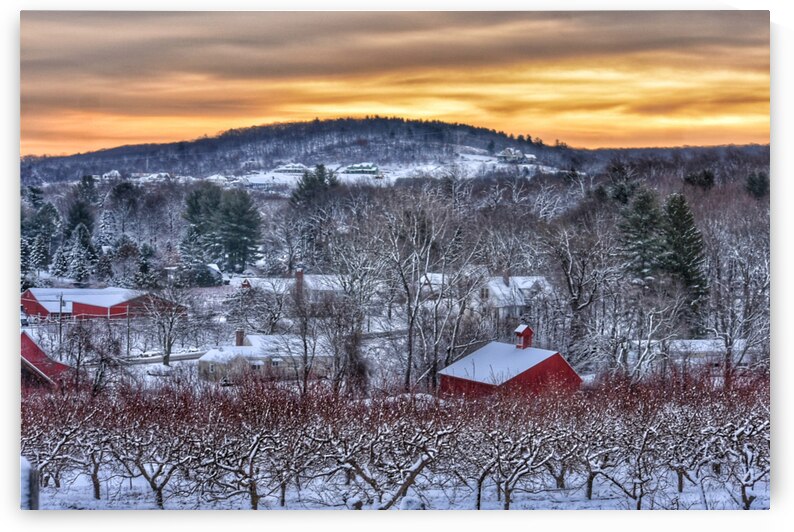 G06 Belltown Orchards Under Snow by Kevin Savage