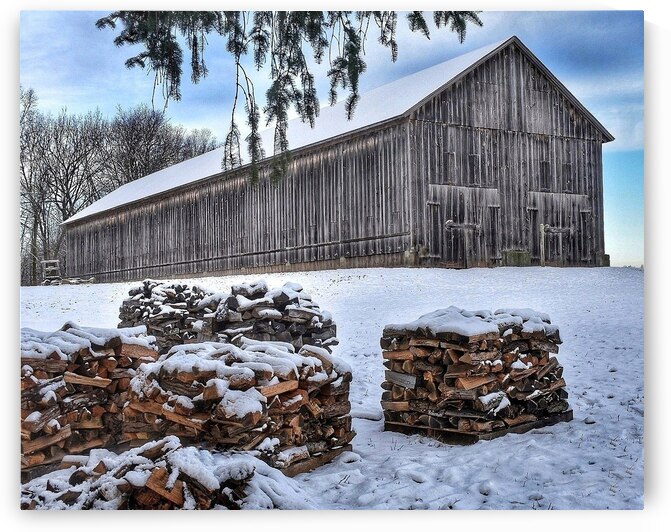 G05 Firewood Stacked for Winter by Kevin Savage