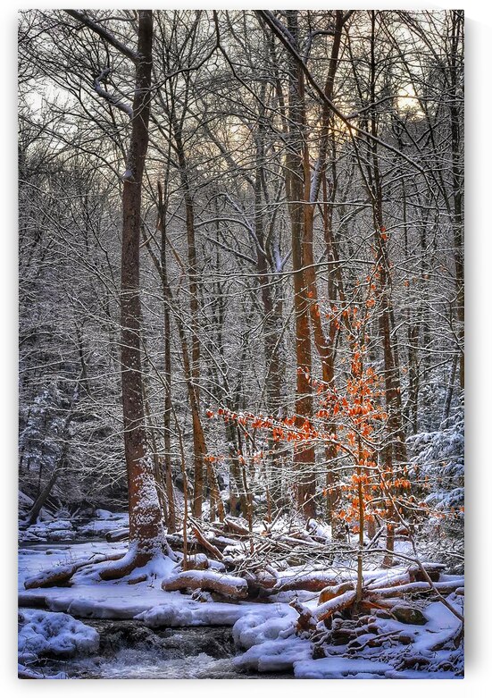 G19 Shining Light by Kevin Savage