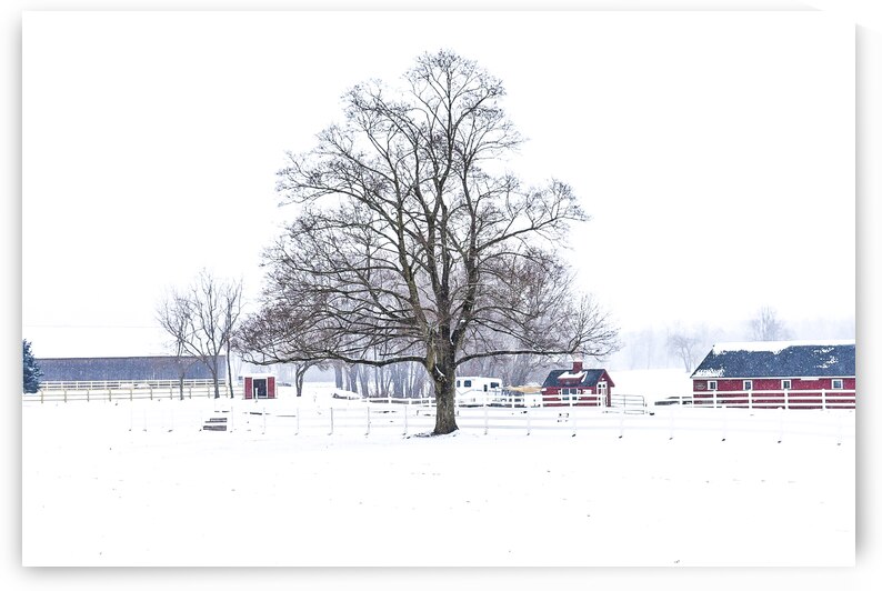 G02 Snow Day on the Farm by Kevin Savage