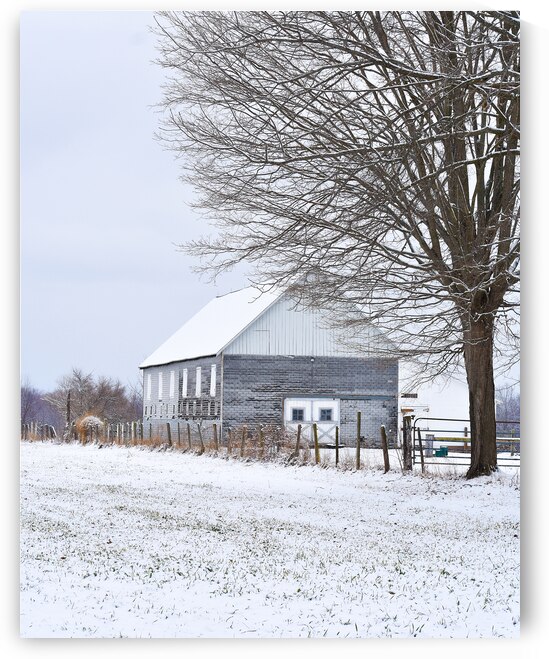 G16 Gray Days of Winter by Kevin Savage