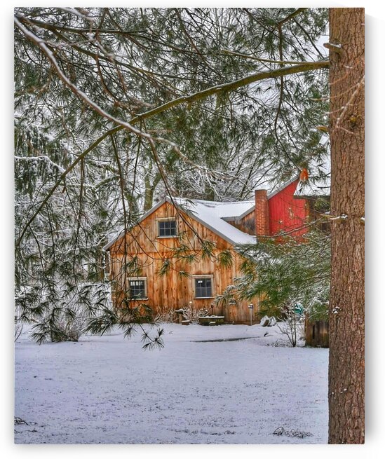 G12 Cabin in the Woods by Kevin Savage