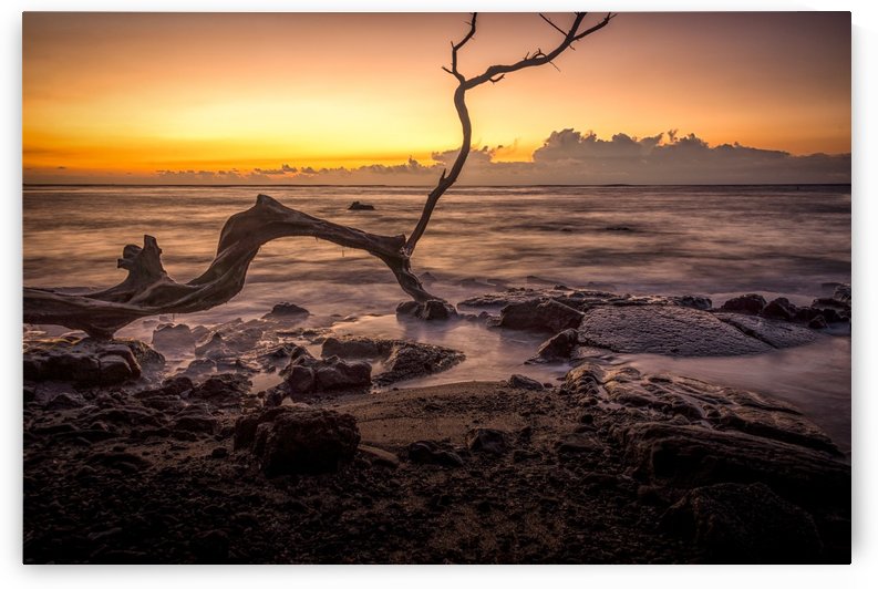 Hawaii Sunset by Andrea Spallanzani