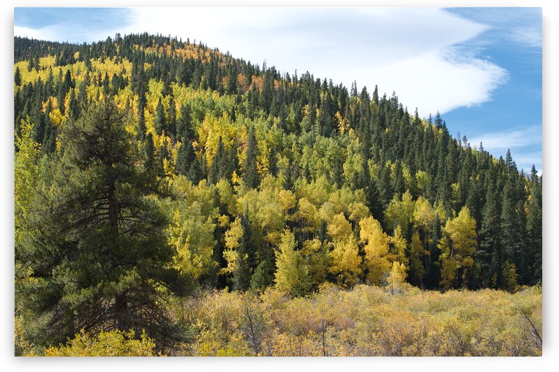 Fall Colors 3 by John Becker Photography