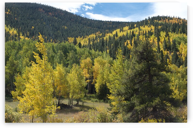 Wavy Fall Colors by John Becker Photography