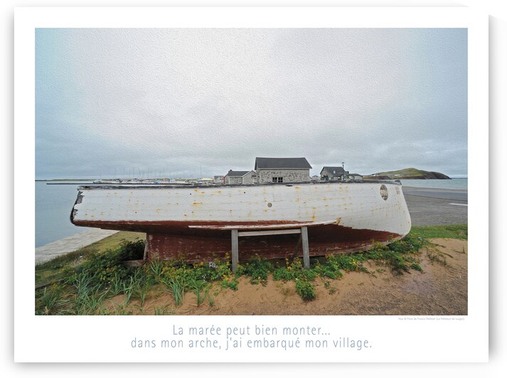 SE MARRER SANS DANGER by Francis Pelletier