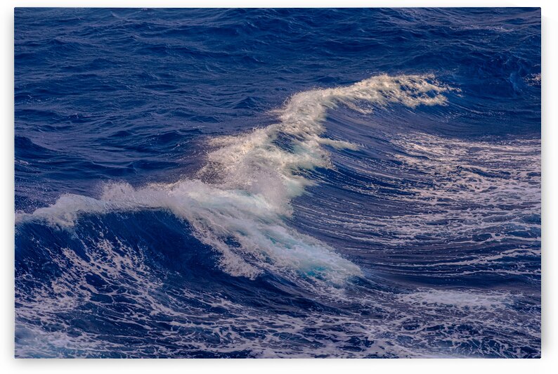 Waves Gracefully Cresting by Bo Insogna