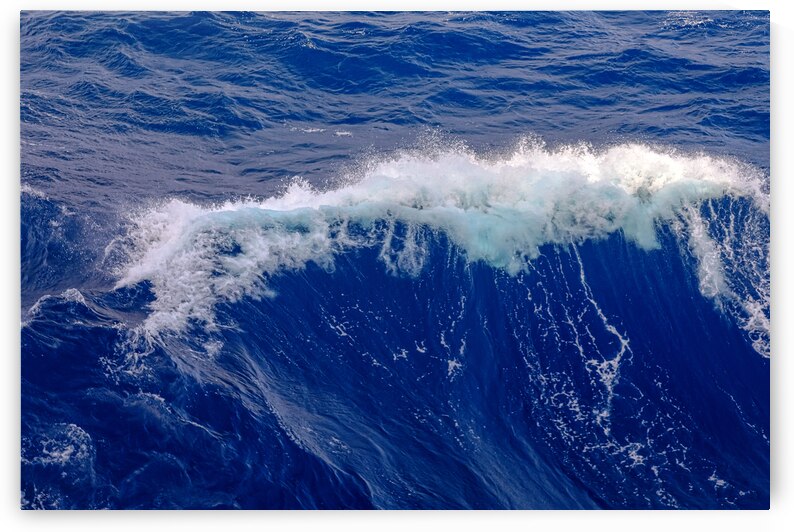 Serenity as the Ocean Waves Crest by Bo Insogna