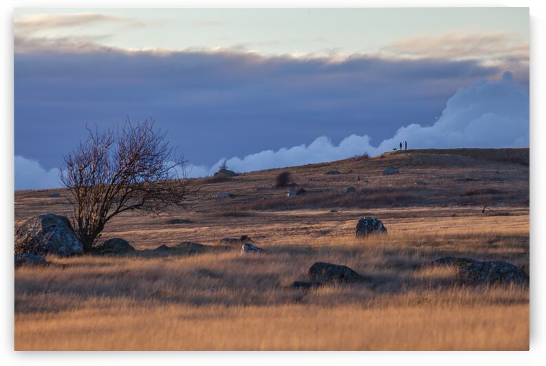 American Camp Redoubt San Juan Island National Historical Park by Lauren Pritchett Photography