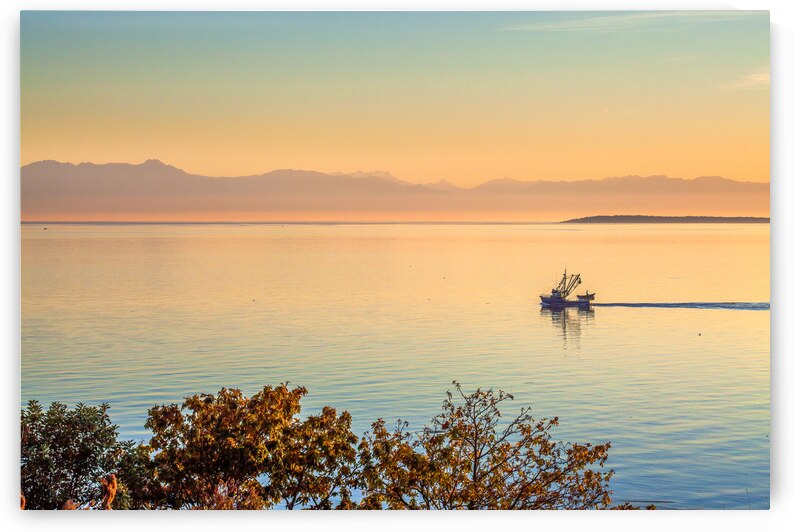 A Purse Seiner in the Haro Strait Salish Sea by Lauren Pritchett Photography