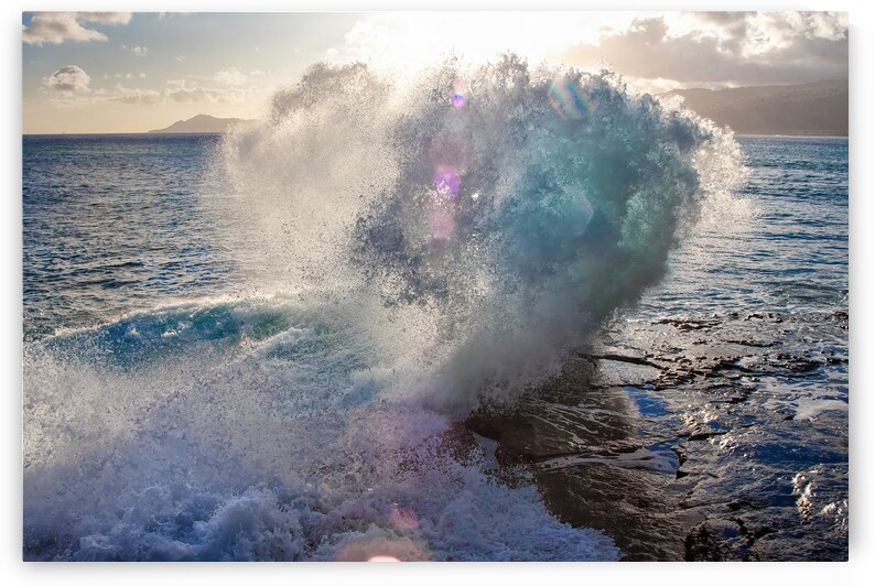 Sea Dragon Wave Portlock Hawaii by Lauren Pritchett Photography