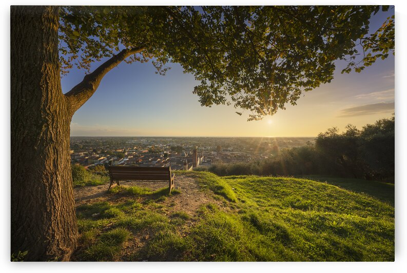 Tree bench and Pietrasanta view at sunset. Italy by Stefano Orazzini