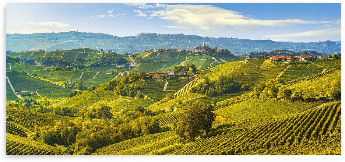 Langhe vineyards landscape and Castiglione Falletto. by Stefano Orazzini