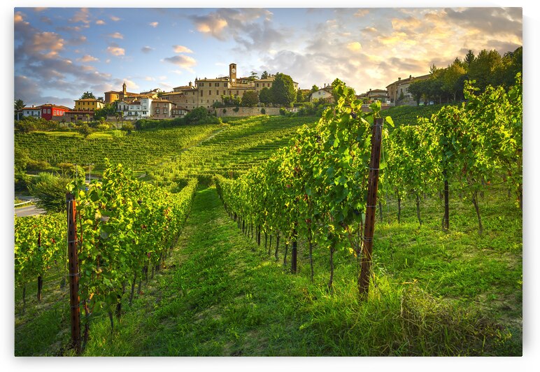 Neive village and Langhe vineyards. Italy by Stefano Orazzini