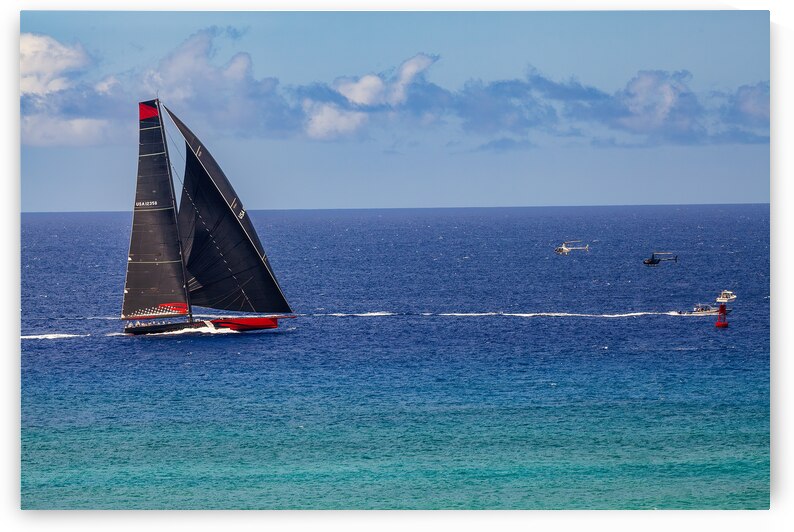 Maxi Yacht Comanche at TRANSPAC Finish Line by Lauren Pritchett Photography