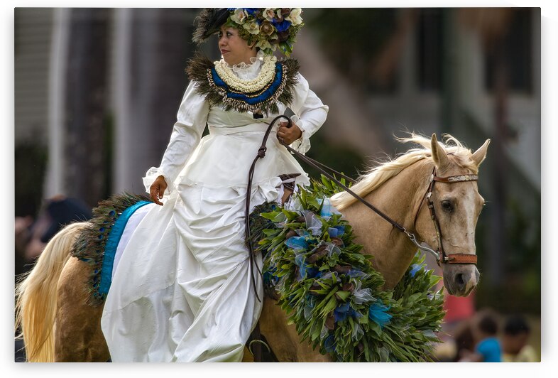 A symbol of elegance and grace the Pau Rider of Hawaii by Lauren Pritchett Photography