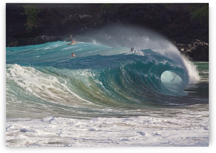 Riding the shorebreak wave at Makapuu by Lauren Pritchett Photography