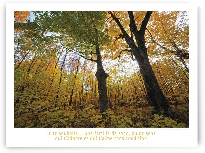 UNE FAMILLE DE SENS by Francis Pelletier