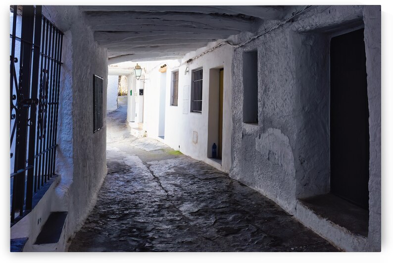 Alpujarrena Shadow - C1804-2845-REA by JordiCarrio