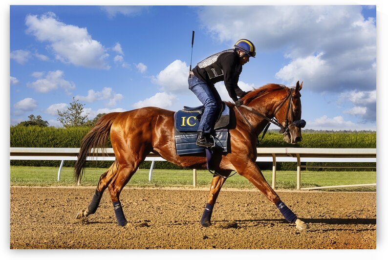Thoroughbred Horse Racing at Keeneland KY by Shelia Hunt Photography