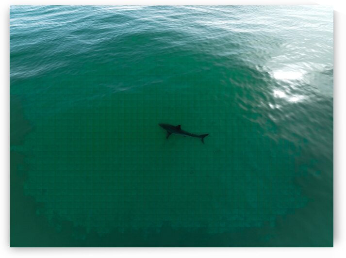 DJI 0910 gigapixel art scale 2 00x gigapixel art by dronesey