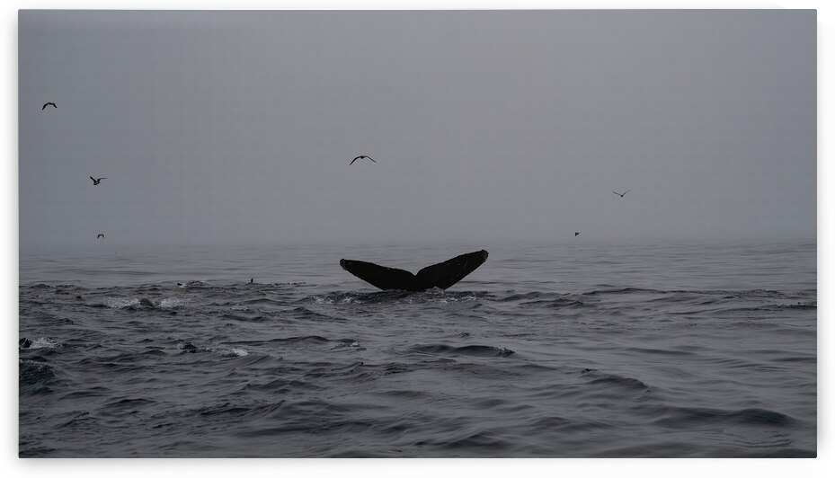 DSC00623 gigapixel art scale 2 00x gigapixel art by dronesey