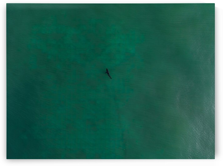 DJI 0893 gigapixel art scale 2 00x gigapixel art by dronesey