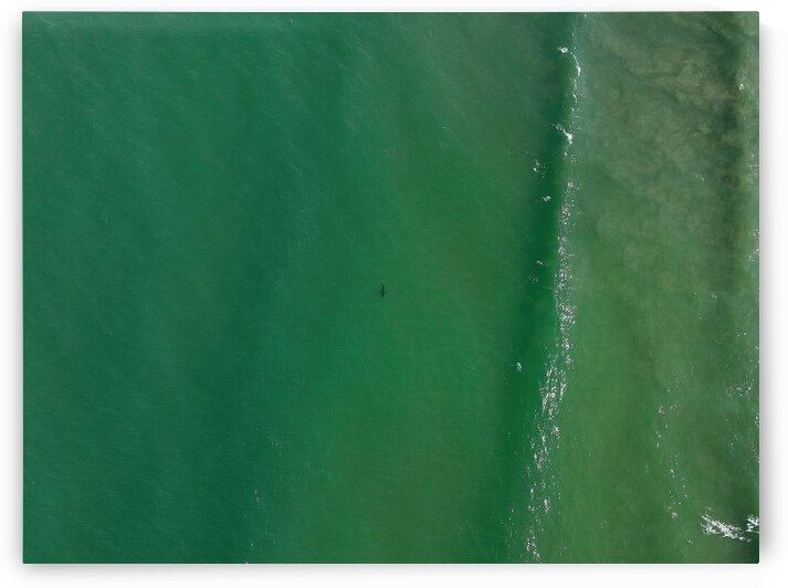 DJI 0147 gigapixel art scale 2 00x gigapixel art by dronesey