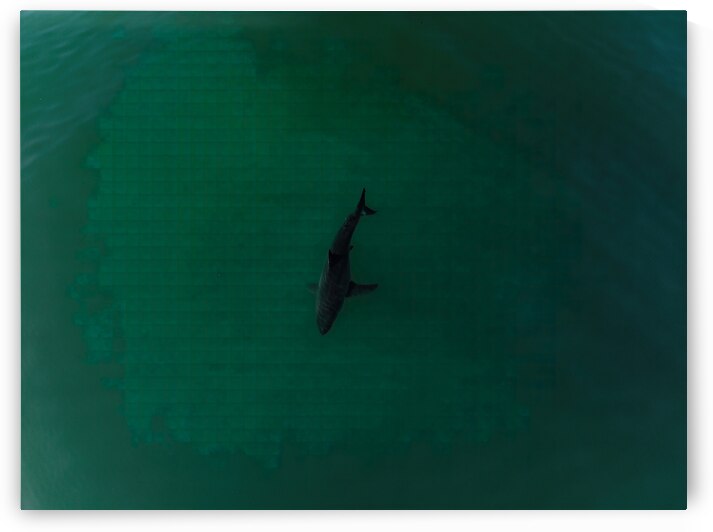 DJI 0926 gigapixel art scale 2 00x gigapixel art by dronesey