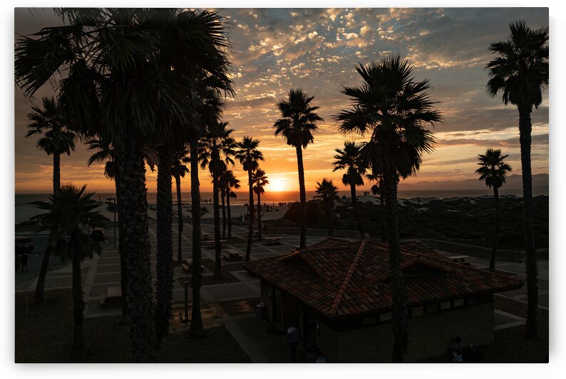 Pismo Beach Sunset Palm Trees by dronesey