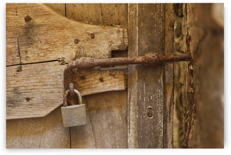 A Old Wooden Door with a Lock by Iris H Richardson
