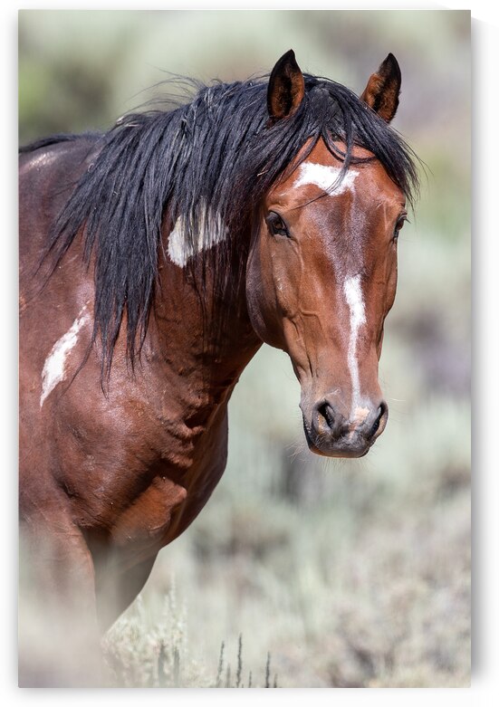 Portrait of Wizard by Weekend Vibes Photography