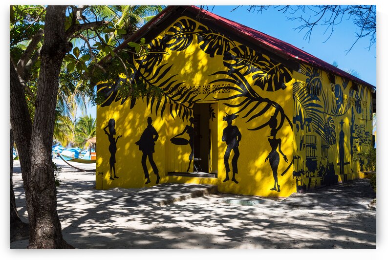 Labadee Haiti Island Vibes by Bo Insogna