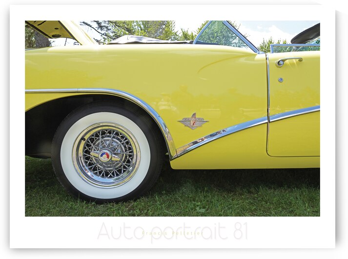 AUTO PORTRAIT 81 by Francis Pelletier