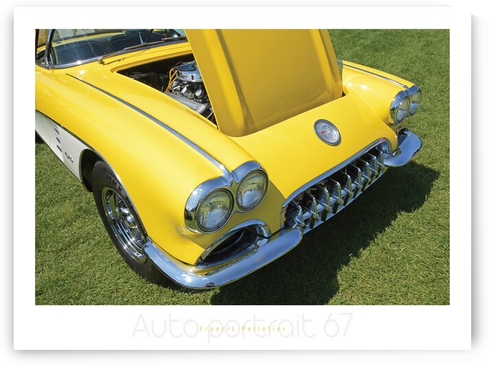 AUTO PORTRAIT 67 by Francis Pelletier