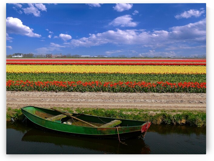 Field Of Colour by CRB Images Photography