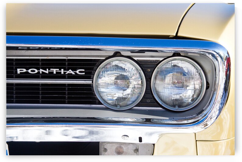 Pontiac Gold Firebird Close Up Driver Side Front by Bo Insogna