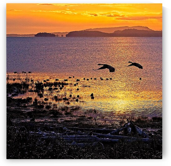 The Courtenay Estuary At Dawn by CRB Images Photography