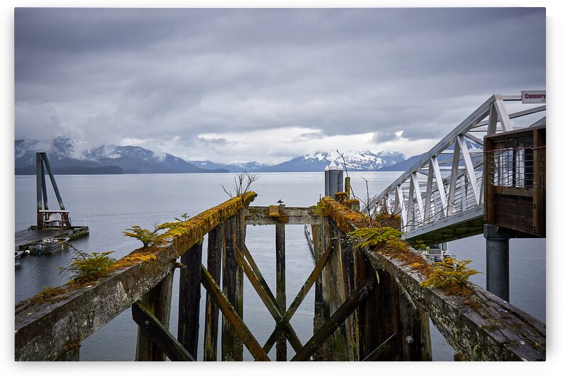 Abandoned Dock Remains by Ryan Cameron