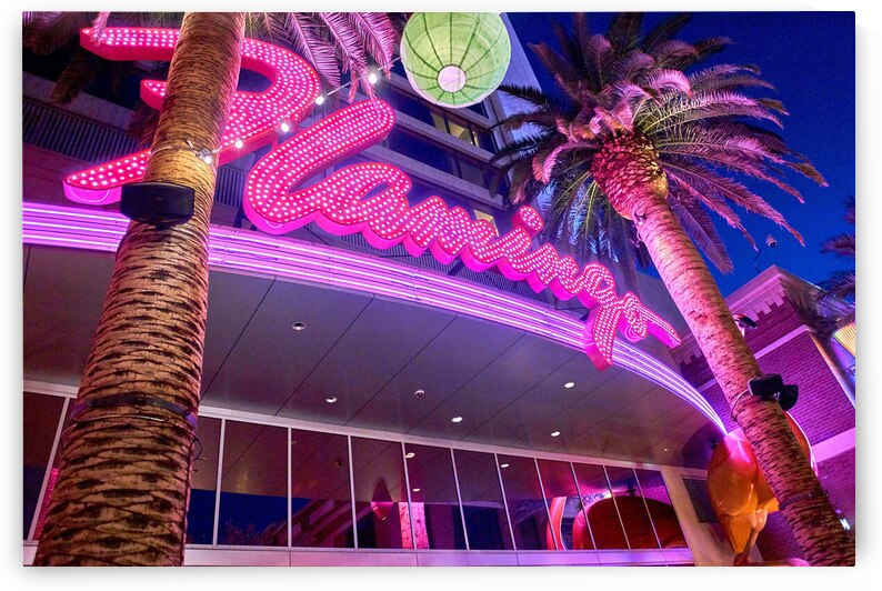 Flamingo Las Vegas by Ryan Cameron
