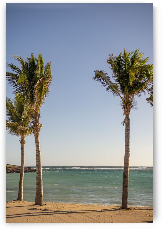 DSC 6238 by Chrystele Escure