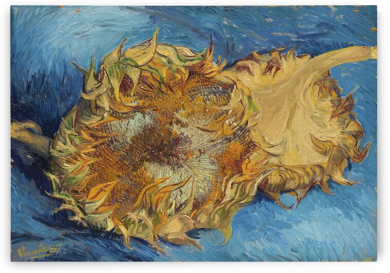  Van Gogh 1853 1890  Sunflowers 1887 by TOPARTGALLERY