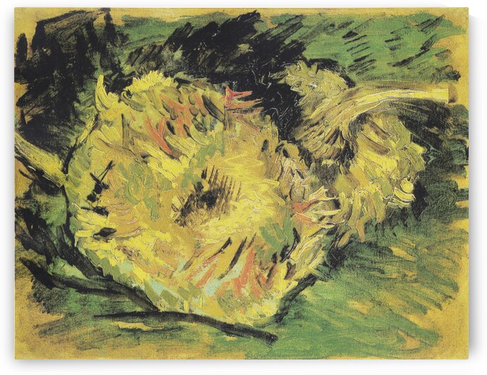  Van Gogh 1853 1890  Two Cut Sunflowers 1887 by TOPARTGALLERY