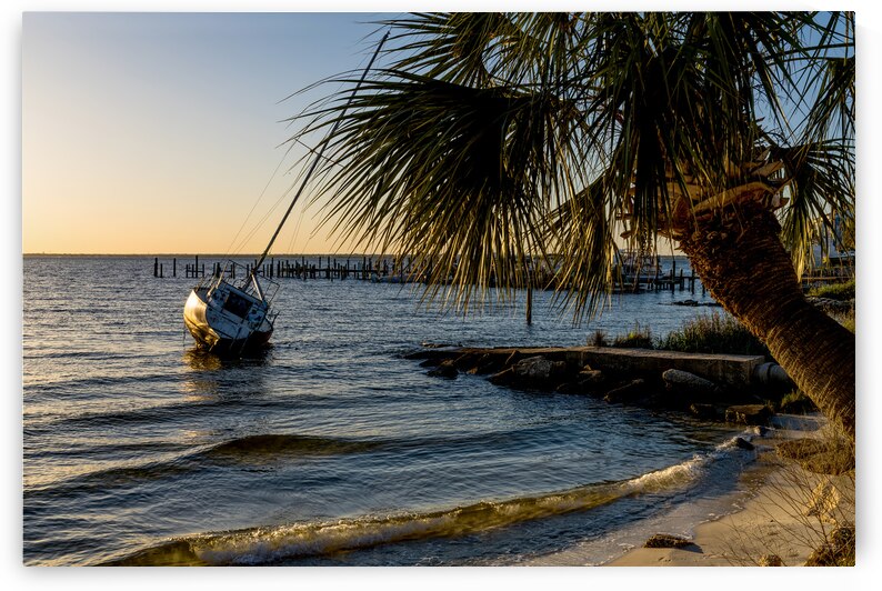 Golden Gulf Breeze Evening Sailboat by Jennifer White