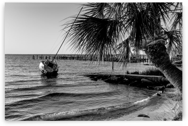 Gulf Breeze Evening Sailboat Grayscale by Jennifer White