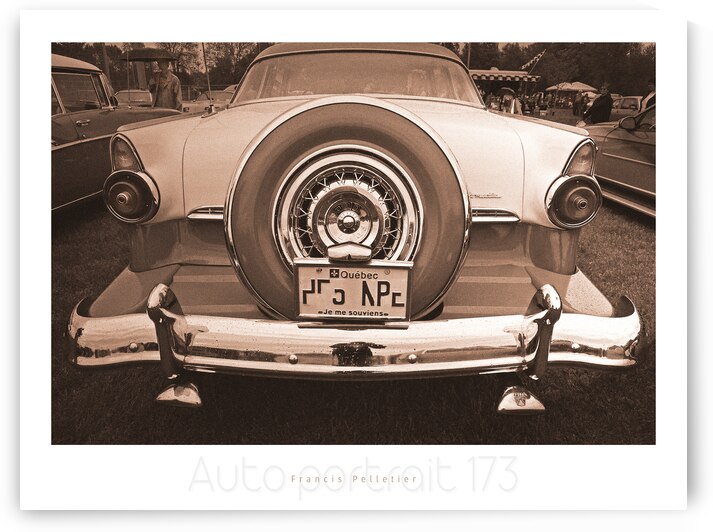 AUTO PORTRAIT 173 by Francis Pelletier