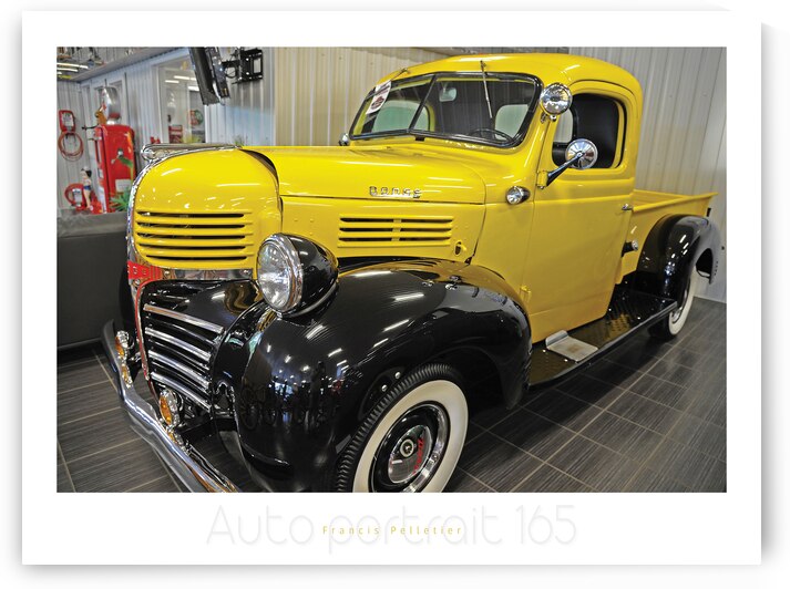 AUTO PORTRAIT 165 by Francis Pelletier