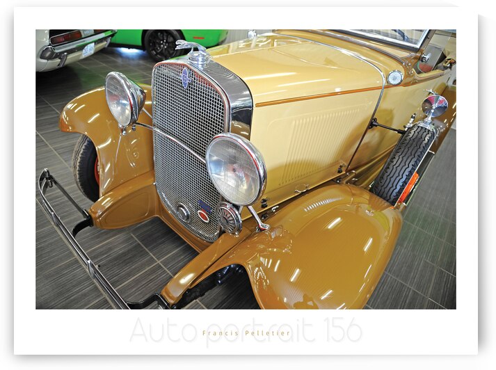 AUTO PORTRAIT 156 by Francis Pelletier