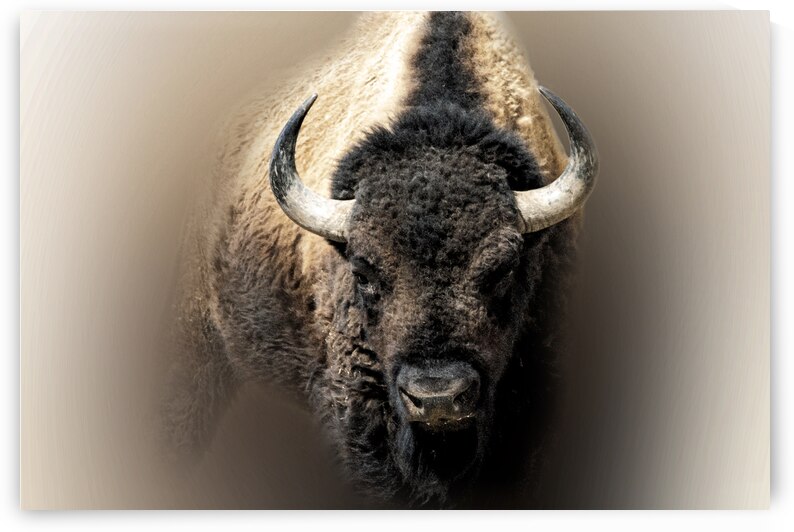 Earth Shaker by B Zolle