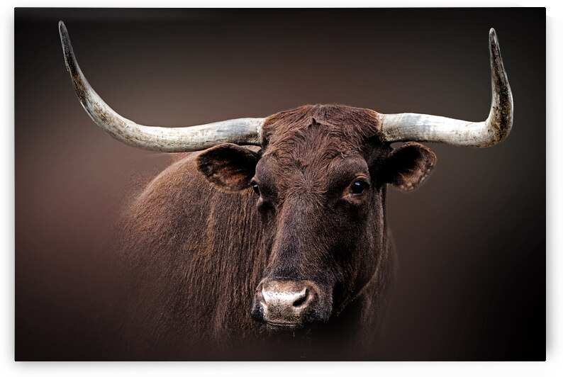 Get to the Point by B Zolle